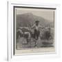 A Brescian Herdsman-null-Framed Giclee Print