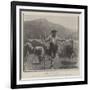 A Brescian Herdsman-null-Framed Giclee Print