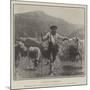 A Brescian Herdsman-null-Mounted Giclee Print