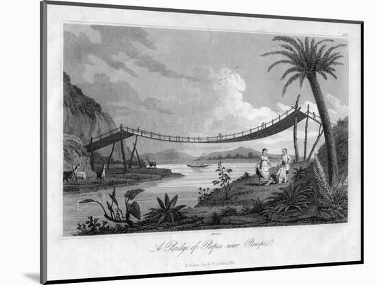 A Bridge of Ropes, Near Penipe, Ecuador, 1829-Storer-Mounted Giclee Print