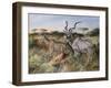 A Brief Look Back-Trevor V. Swanson-Framed Giclee Print