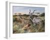 A Brief Look Back-Trevor V. Swanson-Framed Giclee Print