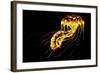 A Brightly Colored Bioluminescent Jellyfish-null-Framed Art Print