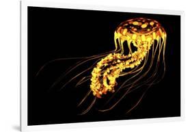 A Brightly Colored Bioluminescent Jellyfish-null-Framed Art Print