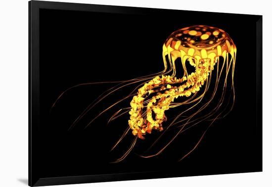 A Brightly Colored Bioluminescent Jellyfish-null-Framed Art Print