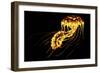 A Brightly Colored Bioluminescent Jellyfish-null-Framed Art Print