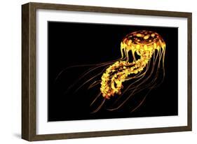 A Brightly Colored Bioluminescent Jellyfish-null-Framed Art Print