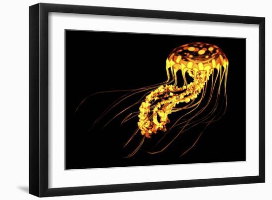 A Brightly Colored Bioluminescent Jellyfish-null-Framed Art Print