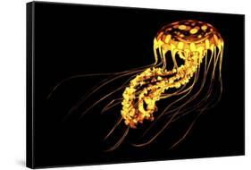 A Brightly Colored Bioluminescent Jellyfish-null-Framed Stretched Canvas