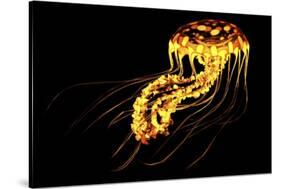 A Brightly Colored Bioluminescent Jellyfish-null-Stretched Canvas