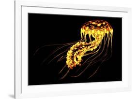 A Brightly Colored Bioluminescent Jellyfish-null-Framed Art Print