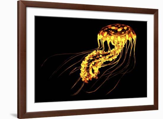 A Brightly Colored Bioluminescent Jellyfish-null-Framed Art Print