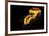 A Brightly Colored Bioluminescent Jellyfish-null-Framed Art Print