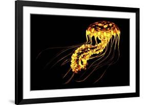 A Brightly Colored Bioluminescent Jellyfish-null-Framed Art Print