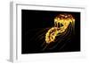 A Brightly Colored Bioluminescent Jellyfish-null-Framed Premium Giclee Print