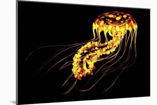 A Brightly Colored Bioluminescent Jellyfish-null-Mounted Premium Giclee Print