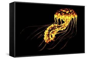 A Brightly Colored Bioluminescent Jellyfish-null-Framed Stretched Canvas