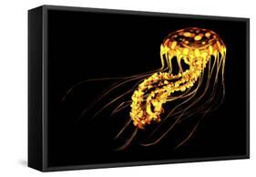 A Brightly Colored Bioluminescent Jellyfish-null-Framed Stretched Canvas