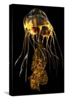 A Brightly Colored Jellyfish Illustration-Stocktrek Images-Stretched Canvas