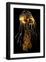 A Brightly Colored Jellyfish Illustration-Stocktrek Images-Framed Art Print