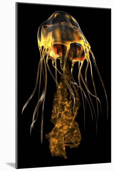 A Brightly Colored Jellyfish Illustration-Stocktrek Images-Mounted Art Print