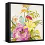 A Brilliant New Day-Liz Jardine-Framed Stretched Canvas