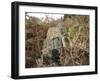 A British Army Sniper Team Dressed in Ghillie Suits-Stocktrek Images-Framed Photographic Print