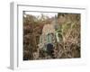 A British Army Sniper Team Dressed in Ghillie Suits-Stocktrek Images-Framed Photographic Print