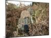 A British Army Sniper Team Dressed in Ghillie Suits-Stocktrek Images-Mounted Photographic Print