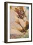 'A British Biplane Bringing Down a German Taube', c1916 (1928)-Cyrus Cuneo-Framed Giclee Print