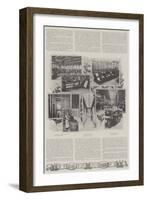 A British Object Lesson-null-Framed Giclee Print