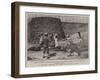 A British Officer at Work in Central Africa-Charles Joseph Staniland-Framed Giclee Print