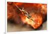 A British Supermarine Spitfire Bursting Through Explosive Flames-null-Framed Art Print