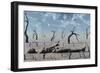 A Broken Down Petrified Android Robot-Stocktrek Images-Framed Art Print