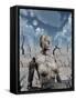 A Broken Down Petrified Android Robot-Stocktrek Images-Framed Stretched Canvas