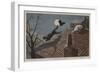 A Broken Melody-William Henry Hamilton Trood-Framed Giclee Print