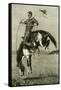 A Bronco Buster Riding a Bucking Horse 1891, USA-null-Framed Stretched Canvas