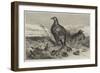 A Brood of Partridges-Harrison William Weir-Framed Giclee Print