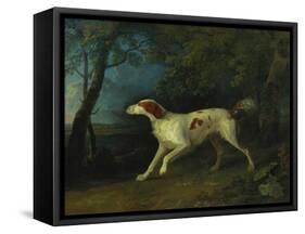 A Brown and White Setter in a Wooded Landscape, 1773-Sawrey Gilpin-Framed Stretched Canvas