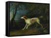 A Brown and White Setter in a Wooded Landscape, 1773-Sawrey Gilpin-Framed Stretched Canvas