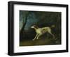 A Brown and White Setter in a Wooded Landscape, 1773-Sawrey Gilpin-Framed Giclee Print