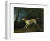 A Brown and White Setter in a Wooded Landscape, 1773-Sawrey Gilpin-Framed Giclee Print