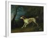 A Brown and White Setter in a Wooded Landscape, 1773-Sawrey Gilpin-Framed Giclee Print