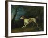 A Brown and White Setter in a Wooded Landscape, 1773-Sawrey Gilpin-Framed Giclee Print