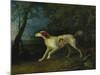 A Brown and White Setter in a Wooded Landscape, 1773-Sawrey Gilpin-Mounted Giclee Print