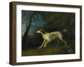 A Brown and White Setter in a Wooded Landscape, 1773-Sawrey Gilpin-Framed Giclee Print