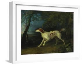 A Brown and White Setter in a Wooded Landscape, 1773-Sawrey Gilpin-Framed Giclee Print