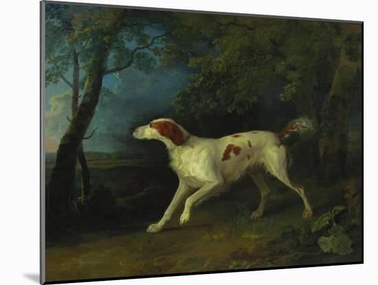 A Brown and White Setter in a Wooded Landscape, 1773-Sawrey Gilpin-Mounted Giclee Print