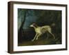 A Brown and White Setter in a Wooded Landscape-Sawrey Gilpin-Framed Giclee Print