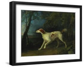 A Brown and White Setter in a Wooded Landscape-Sawrey Gilpin-Framed Giclee Print